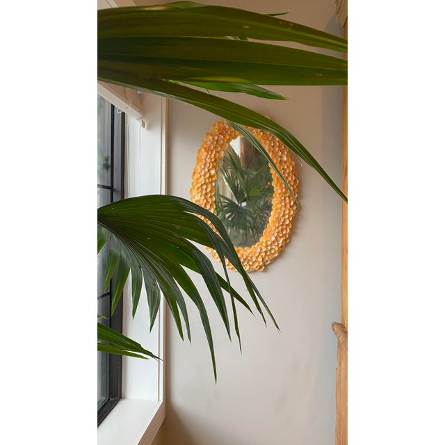 Gold Antique Oval Wall Mirror With a Handmade Shell Frame For Sale - Image 8 of 9