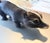 Animal Skin 9 Inch Skunk, Hand Crafted , Fur, Figurine Vintage For Sale - Image 7 of 8
