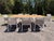 Wood Modern Outdoor Dining Table Extendable Kettal For Sale - Image 7 of 11