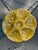 1950s French Gien Majolica Olive Green Oyster Plate For Sale - Image 15 of 15
