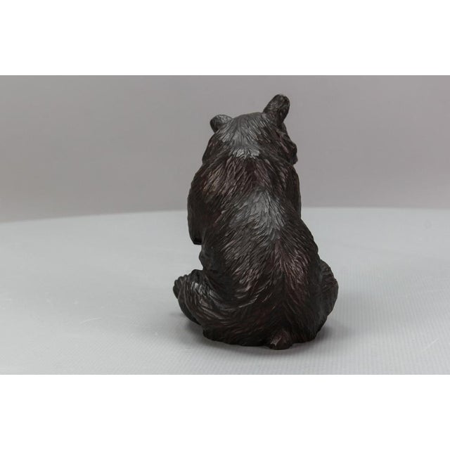 Wood Antique Black Forest Carved Seated Bear Figure, 1890s For Sale - Image 7 of 18
