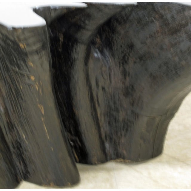Ebony Organic Modern Teak Root Coffee Table For Sale - Image 8 of 9