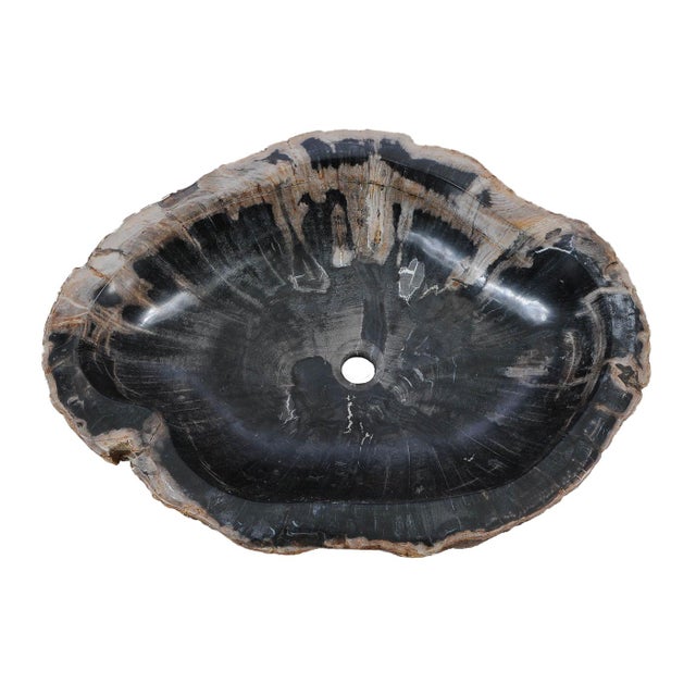 Petrified Wood Hand Wash Basin by Xyleia Petrified Wood For Sale - Image 6 of 8