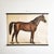 Mid-Century Lithographic Horse Wall Chart, 1960s For Sale - Image 13 of 14