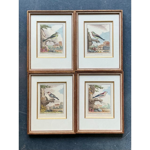 Wood Vintage Regency Bird Prints - Set of 4 For Sale - Image 7 of 10