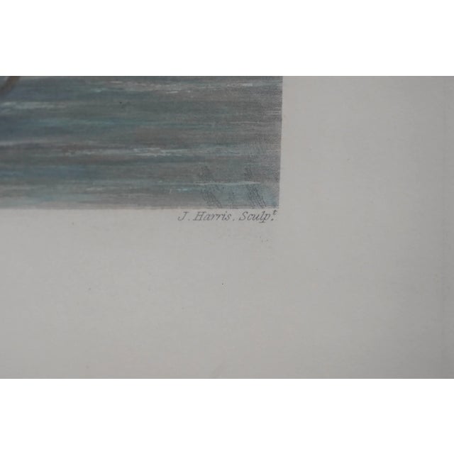 English English the Royal Navy Ships Vintage Colored Engraving For Sale - Image 3 of 12