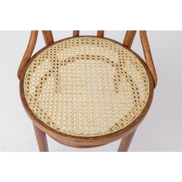 Stained Beech Bentwood Angel Chairs with Vienna Cane Seats, 1940s, Set of 2 For Sale - Image 4 of 9