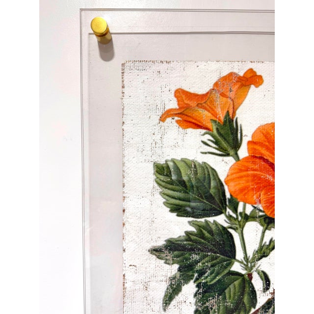 Contemporary Orange Tropical Hibiscus - Hand Textured Orange Flower Art For Sale - Image 3 of 5
