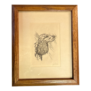 1970’s Original Traditional Rustic English Setter Dog Portrait Etching