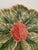 Vintage, tan majolica serving platter with sculpted borders and a center decoration of a dark pink calla flower. Hand...