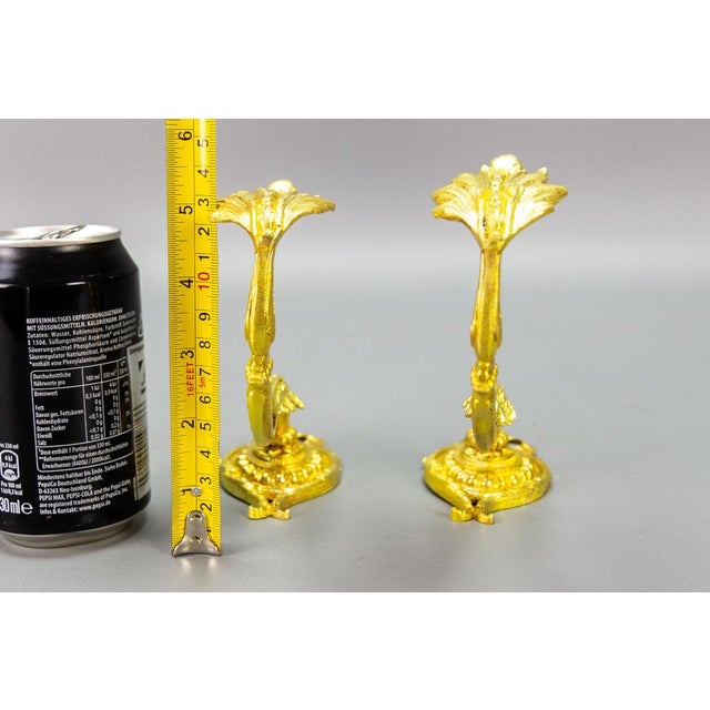 French Louis XIV Style Gilt Bronze Curtain Tiebacks or Curtain Holders, 1920s, Set of 2 For Sale - Image 14 of 17