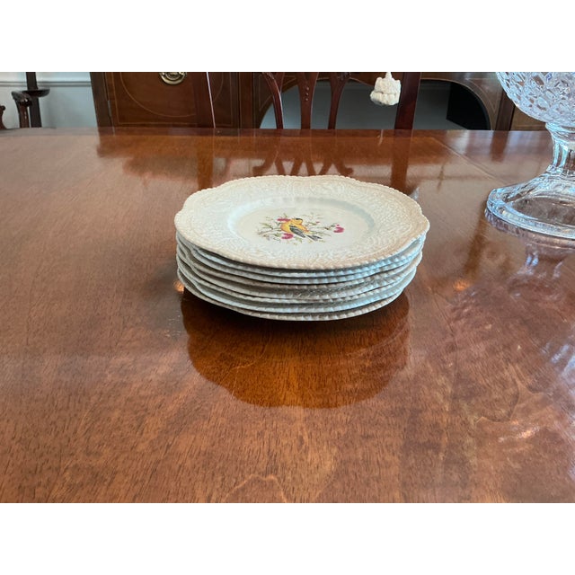 Royal Cauldon Bristol Ironstone “Aviary” Bird Plates by h.a. Pausch, Set of 8, Mid-Century For Sale - Image 10 of 13