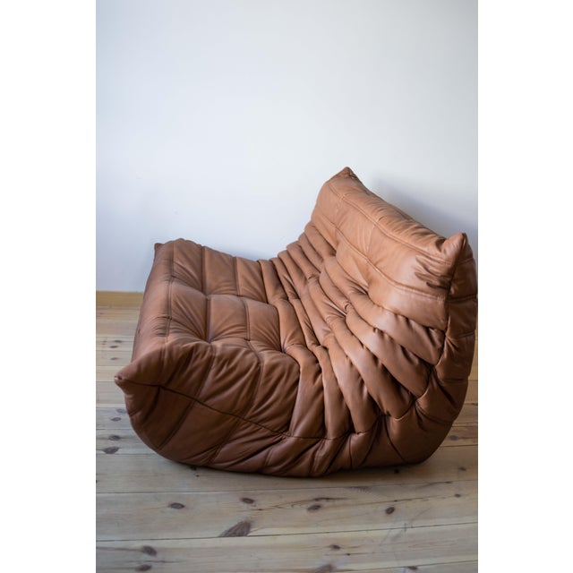 Brown Leather Togo Living Room Set by Michel Ducaroy for Ligne Roset, Set of 5 For Sale - Image 18 of 18