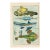 Antique French Histoire Naturelle Engraving – Sharks & Sawfish,1770-90 Modern Color For Sale