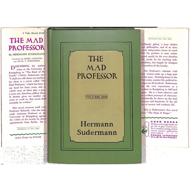 Paper "The Mad Professor Volumes I & Ii" 1928 Sudermann, Hermann For Sale - Image 7 of 8