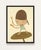Contemporary Yoshitomo Nara, Marching on a Butterbur Leaf, 2020, Paper For Sale - Image 3 of 4