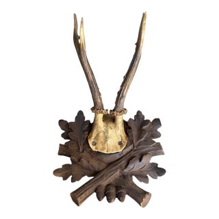 Roe Deer Trophy 229 Black Forest Antlers For Sale