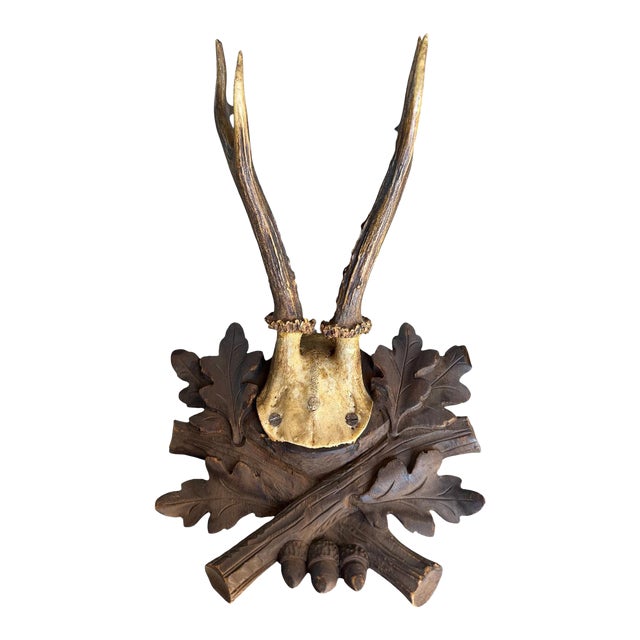 Roe Deer Trophy 229 Black Forest Antlers For Sale