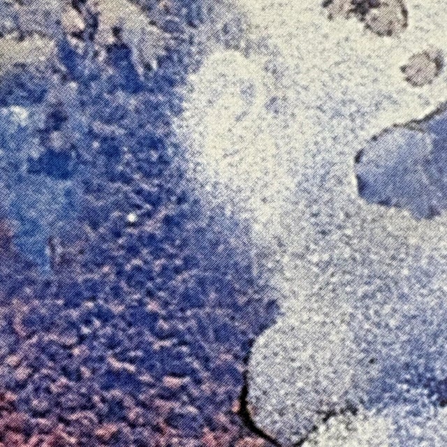 1991 "Dancing Coral" Abstract Multicolor Signed Lithograph Print by Marlene Tseng Yu For Sale - Image 9 of 11