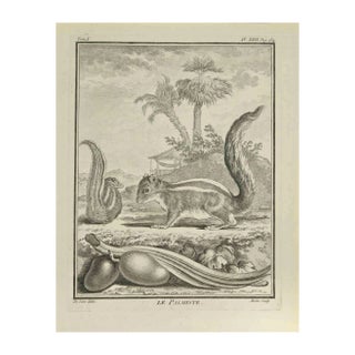Jean Gullaume Moitte, Le Palmiste, Etching, 1771 For Sale