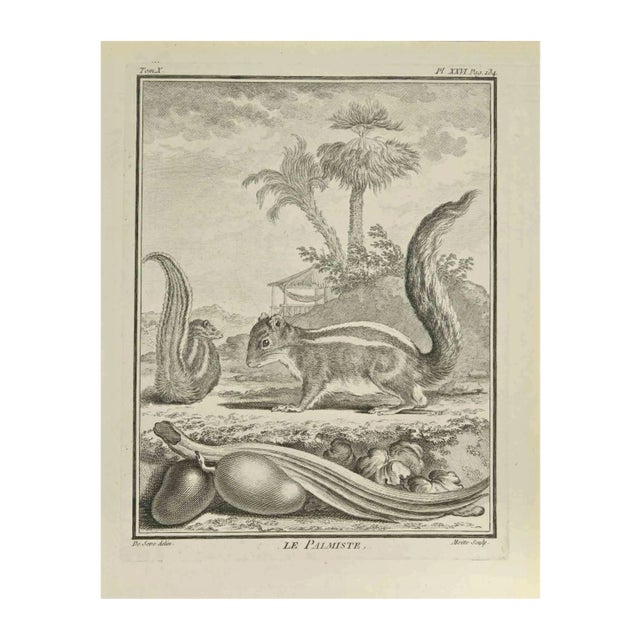 Jean Gullaume Moitte, Le Palmiste, Etching, 1771 For Sale