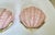 Pair Art Deco Shell Clam Shaped Pink Glass Brass Wall Sconce For Sale In Palm Springs - Image 6 of 18