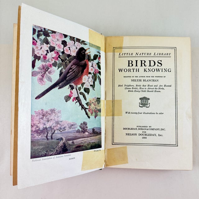 Antique American Bird Study Nature Books, 1909-1935, a Group of Four For Sale In Philadelphia - Image 6 of 10