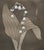 Contemporary "Lily of the Valley" - Botanical Still-Life Lithograph by Patricia Pearce For Sale - Image 3 of 4