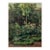 Vintage French Garden Art Print – Pink Roses & Green Landscape by Pissarro, 18" X 24" For Sale
