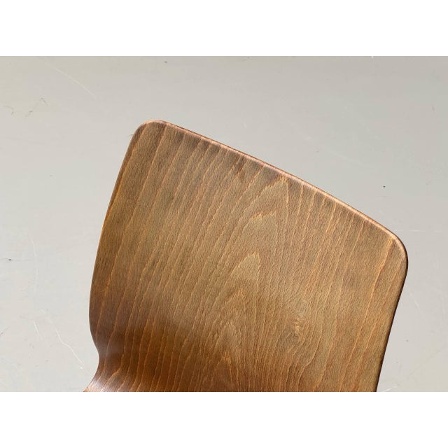 Vintage Chair with Tubular Steel Frame by Kilo und Pagholz-Schale for Lignarit, 1960s For Sale - Image 12 of 17