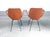 Brown Medea Chairs by V. Nobili for Tagliabue, Set of 2 For Sale - Image 8 of 18