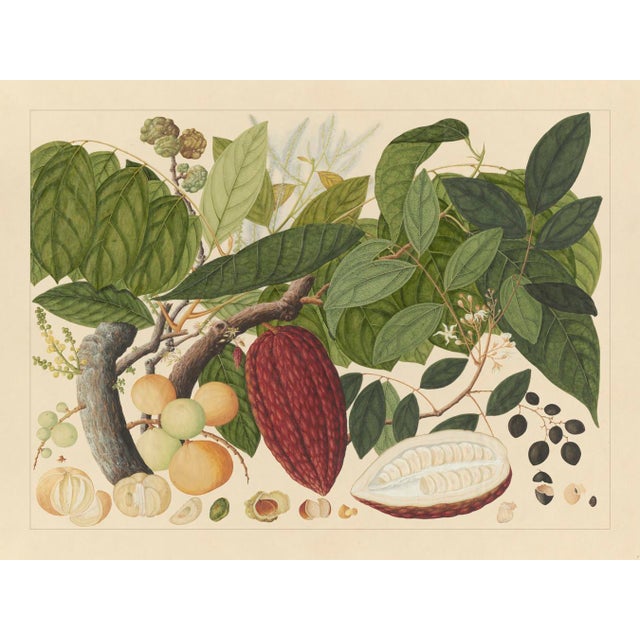 Golden Tropic Botanicals, Giclée Print #7 For Sale