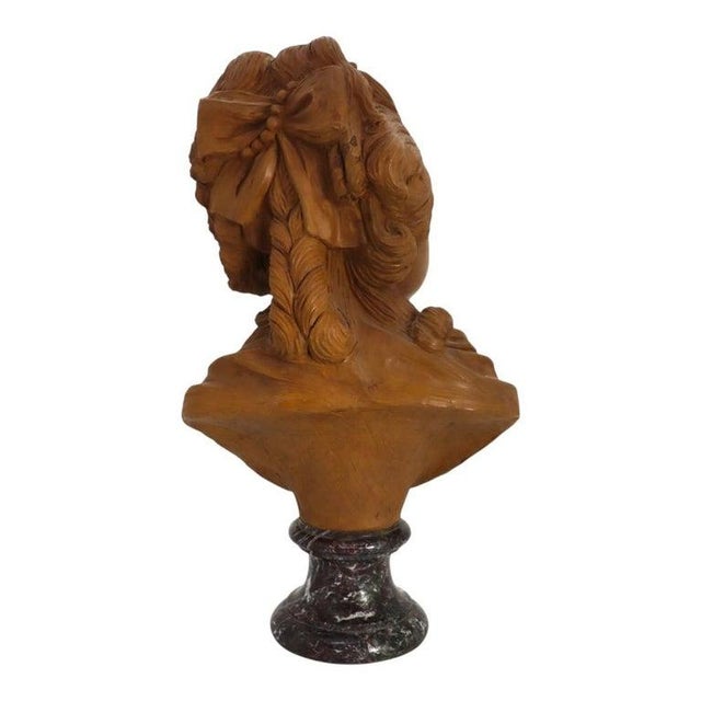 Terra Cotta Rare French Classical Terra Cotta Bust of Young Marie Antoinette C1890 For Sale - Image 8 of 12