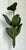 Vintage Green Banana Leaf Six Arm Chandelier For Sale - Image 4 of 12