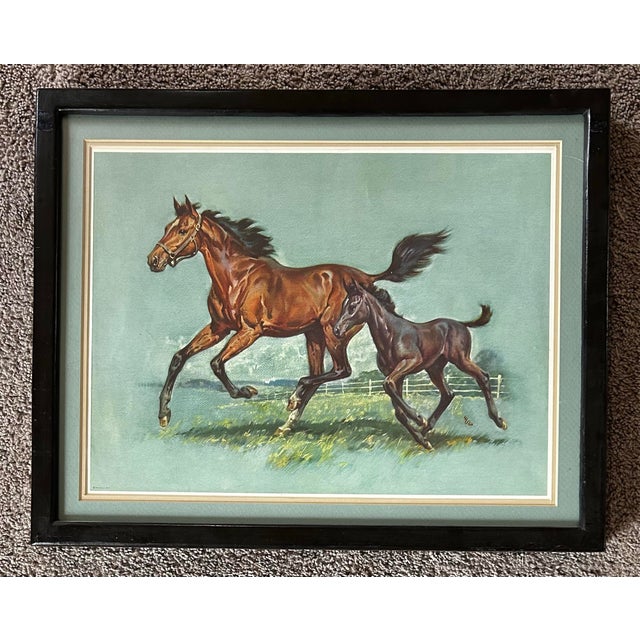 Vintage 1961 print of a horse running with a colt. Matted, behind glass and in original black frame.