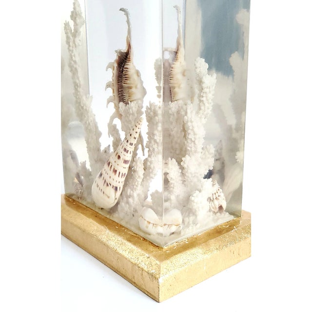 Lamp Shells Seashells Lucite Aquarium & Shade For Sale In Miami - Image 6 of 9