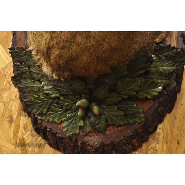 Animal Skin Vintage Taxidermy Deer Shoulder Mount Wall Decor With Metal Leaves (R&l) - a Pair For Sale - Image 7 of 12