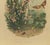 French C1880 French Antique Botanical Chromolithograph With Butterflies, Matted For Sale - Image 3 of 4