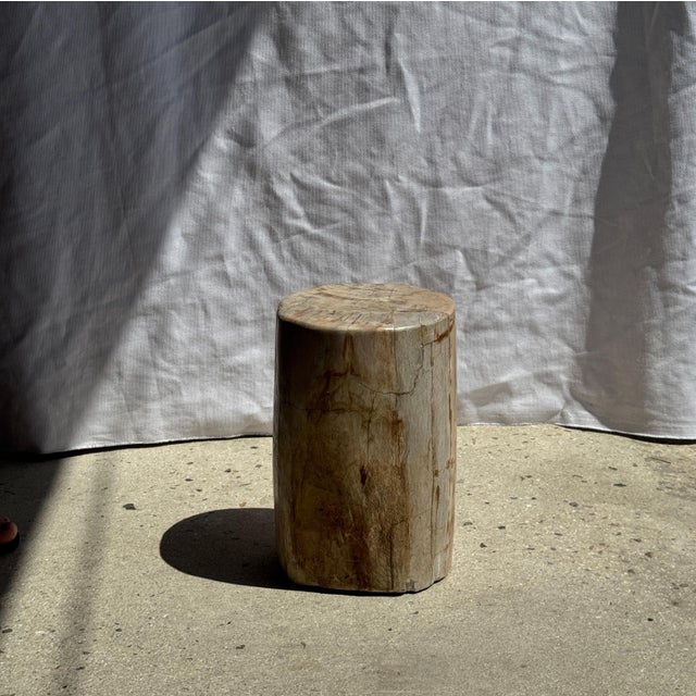 Small Side Table in Petrified Wood, 1980s For Sale - Image 13 of 18