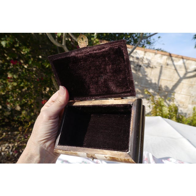 Vintage Camel Bone With Brass Fittings Decorative Trinket Box Velvet Lined For Sale - Image 9 of 15