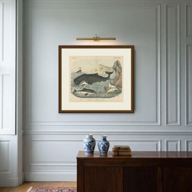 Carl Friedrich August, Sperm Whale with Porpoise and Seals, Kolb Mammals, 1890, Print For Sale - Image 10 of 12