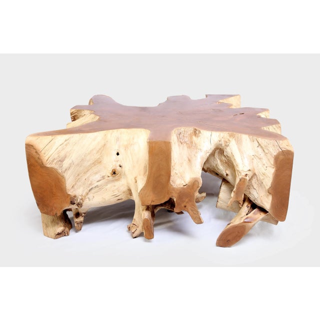 2020s Square 36" Inch Organic Teak Root Coffee Table 52 For Sale - Image 5 of 6