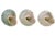 Set of three nautical aqua green natural turbo beach sea shell with striations of teal, turquoise and ivory. Natural...