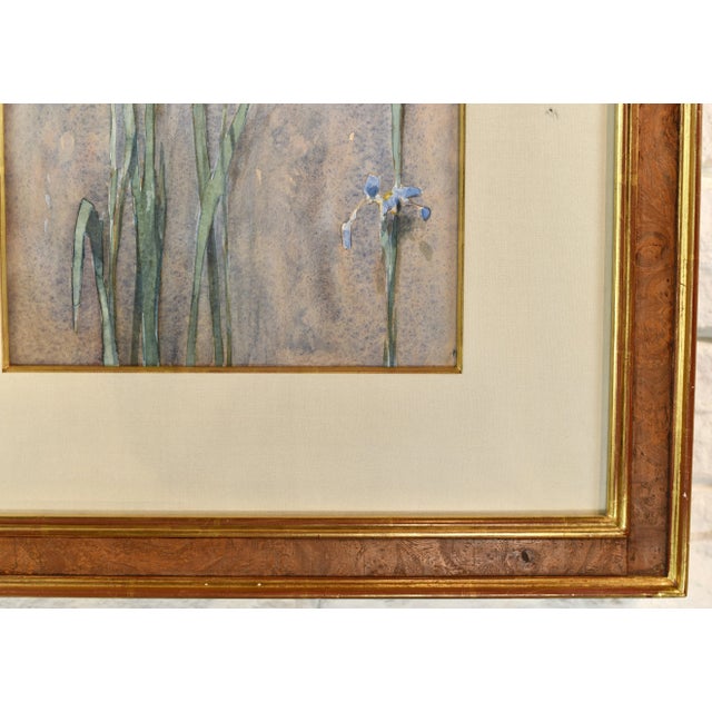 Metal Original Vintage Thomas Daly Iris Flower Watercolor Painting For Sale - Image 7 of 13