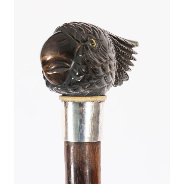 Antique Art Deco Novelty Parrot Walking Stick Cane, 1920s For Sale - Image 9 of 15