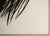 After Hans Hartung, Pastel P.1960-166, 1962, Photogravure For Sale - Image 8 of 13