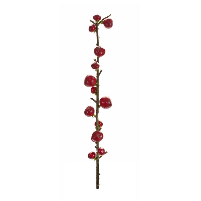 Brighten up your space with the vibrant charm of this Red Berry Twig Stem Spray Set. This collection of faux berry sprays...