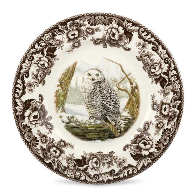 English Spode Woodland Birds Of Prey Dinner Plate 10.5", Owl For Sale - Image 3 of 3