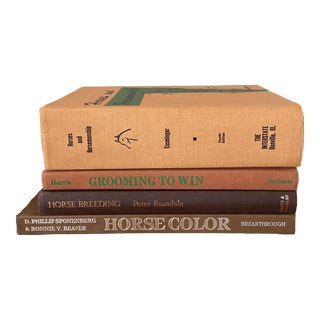 Vintage Set of Four Equine / Horse Brown and Orange Toned Hardback Books For Sale