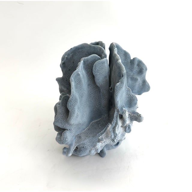Chinoiserie Natural Blue Coral Specimen Coastal Decor For Sale - Image 3 of 6